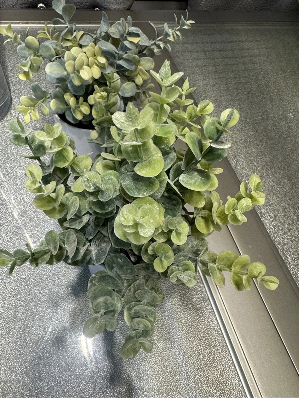 Artificial Eucalyptus Tabletop Plant in White Pot - Green- set of 2